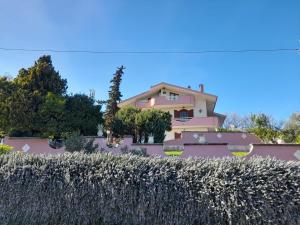 a house with a hedge in front of it at domus rosada in Ripa Teatina