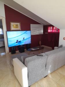 日帕特尼納的住宿－domus rosada，带沙发和大屏幕电视的客厅