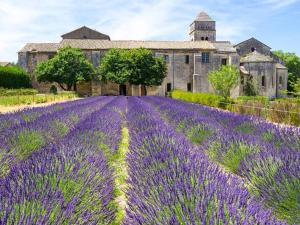 ein Feld lila Lavendels vor einer Burg in der Unterkunft Chato D-Charmant T2 Moderne et Calme in Châteaurenard