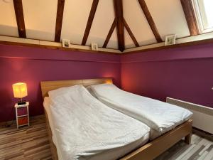 FrielendorfにあるHoliday Home Ferienwohnpark Silbersee by Interhomeの紫の壁のドミトリールームのベッド1台分です。