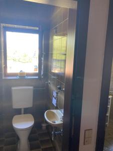 a bathroom with a toilet and a sink and a window at Am Steyr-Ufer in Sierning