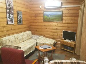 ein Wohnzimmer mit Sofa und Fernseher in der Unterkunft Holiday Home Metso-pirtti by Interhome in Saariselkä