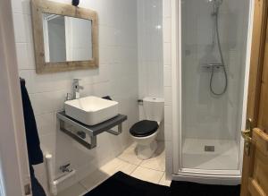 uma casa de banho com um WC, um lavatório e um chuveiro em La Ferme de Valeuse em Morienval
