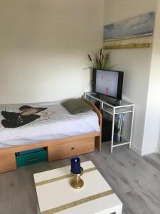 1 dormitorio con 1 cama y escritorio con TV en Eifelliebe Roetgen en Roetgen
