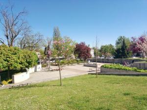 a park with a tree with flowers in the grass at Dreapart Pruszcz gdański in Pruszcz Gdański