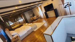 een woonkamer met een groot bed en een televisie bij Flux Studios Apart in Oradea
