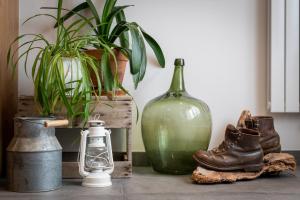 una mesa con un jarrón de cristal y una planta y botas en Terre de Sapins en Orbey