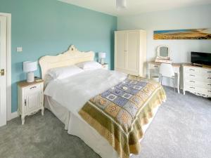 1 dormitorio con 1 cama, escritorio y TV en Cae-fadog Fach, en Barmouth