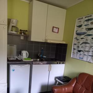 Gallery image of Milas House two apartments in Fredvang