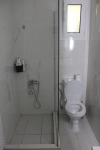 a white bathroom with a shower and a toilet at Ολόκληρο Διαμέρισμα η Βυσσινιά in Kotrónion