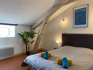 Schlafzimmer mit einem Bett mit gelben und blauen Kissen in der Unterkunft Appartement de charme au cœur d'Avignon in Avignon