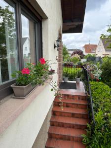 塞勒斯塔的住宿－Villa Schmitt，窗户上种有红色花卉和植物的阳台