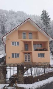 a cat sitting in front of a house in the snow at Casă de vacanță Lidia in Albac