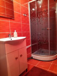 La salle de bains est pourvue d'une douche et d'un lavabo. dans l'établissement Casă de vacanță Lidia, à Albac