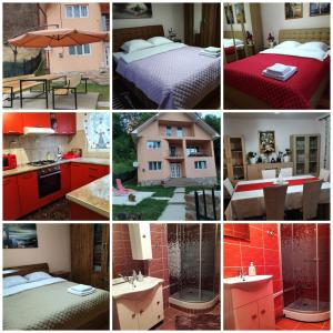a collage of pictures of a kitchen and a house at Casă de vacanță Lidia in Albac