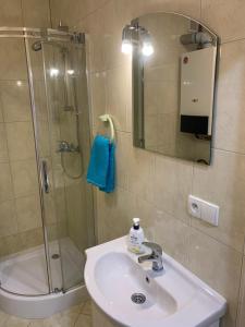 La salle de bains est pourvue d'un lavabo et d'une douche. dans l'établissement Apartament Iwona, à Mrągowo