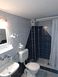 a bathroom with a toilet and a sink and a shower at U OLIWII in Krościenko