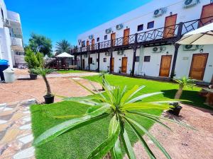 a building with palm trees in front of a yard at Tree House Dahab in Dahab