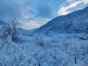 een sneeuwveld met bomen en bergen op de achtergrond bij La Aero Resort Home in Snow Mountains in Manāli