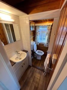 a small bathroom with a sink and a toilet at Snowdonia Escape in Trawsfynydd