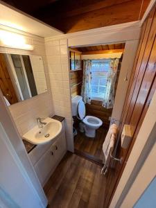 Koupelna v ubytování Snowdonia Escape + 10 fotografií