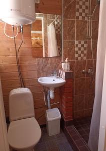 La salle de bains est pourvue d'un lavabo, de toilettes et d'une douche. dans l'établissement Vingi Apartment 12, à Pärnu