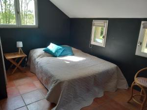 una camera da letto con un letto con cuscini blu di Moulin en bord de rivière - 1 à 5 pers - logement atypique-linge-wifi a Chevillon-sur-Huillard