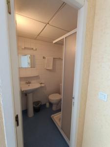 a bathroom with a sink and a toilet at Chez Marie et Didier Chalet saint Jacques in Lourdes
