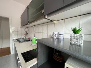 a kitchen with a sink and a counter top at Mickitos Square Apartment in Skopje +14 photos