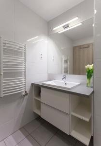 a white bathroom with a sink and a shower at Dobó Apartman in Szeged