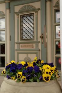 Fotografie z fotogalerie ubytování Apfelblüte bed & breakfast 8 km vom Bodensee v destinaci Salem