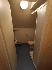 a bathroom with a toilet and a light on the ceiling at Chez Marie et Didier Chalet saint Jacques in Lourdes