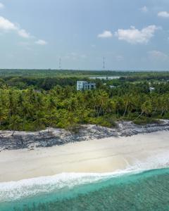 an aerial view of a beach with palm trees and the ocean at Ataraxis Grand and Spa Fuvahmulah in Fuvahmulah