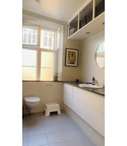 a bathroom with a toilet and a sink at ApartmentInCopenhagen Apartment 1538 in Copenhagen