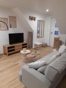 uma sala de estar com um sofá e uma televisão de ecrã plano em Studio cosy spacieux lumineux avec terrasse em Vézelois