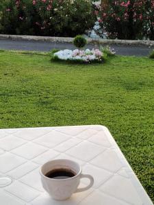 a cup of coffee sitting on a table at Villa Panorama in Polykhrono