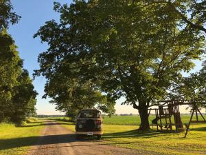 un coche viejo aparcado en un camino de tierra junto a un árbol en Fox Lane - Prince Edward County Farmhouse, en Picton