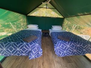 two beds in a green camping tent with at Gorge View Bush Retreat : Katherine NT in Katherine
