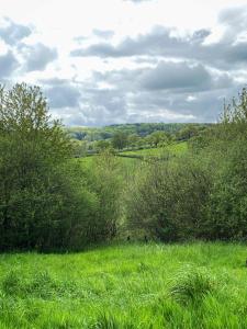 ein Feld mit grünem Gras mit Bäumen und Sträuchern in der Unterkunft Oak Shepherds Hut in Wootton Fitzpaine