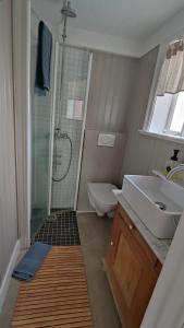 a bathroom with a shower and a sink and a toilet at Dalvík Vegamót Cottages in Dalvík