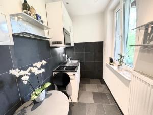Kuchyň nebo kuchyňský kout v ubytování Cozy 1 room apartment in Zug