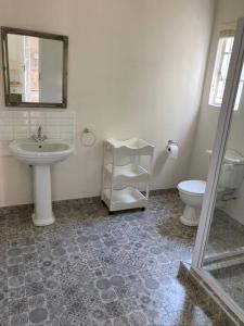 a bathroom with a sink and a toilet at Dainty Bess cottage in Middelburg