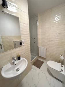 a bathroom with a sink and a toilet and a mirror at SZWEDZKA22 PL Premium Rooms in Wrocław