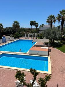una gran piscina azul con palmeras en Tavira Garden 16, en Tavira