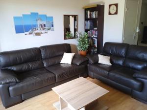 a living room with a leather couch and a coffee table at Village Naturiste Cap d'Agde Luvitere in Cap d'Agde