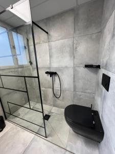 een badkamer met een douche en een zwart toilet bij Ciel de Cannes in Cannes