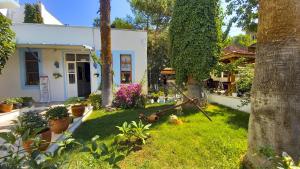 Κήπος έξω από το Hotel Tropicana