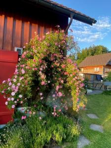 Aed väljaspool majutusasutust Doppelzimmer in charmantem B&B