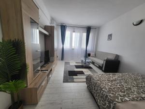 エフォリエ・ノルドにあるEforie Seaview Apartmentのベッド、ソファ、テレビが備わる客室です。 +7枚の写真