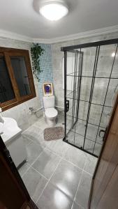a bathroom with a shower and a toilet and a sink at Villamill Apart & House in Ardeşen